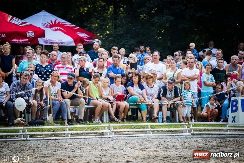 Zdjęcie w galerii na portalu naszraciborz.pl: Plejada gwiazd zjechała do Zakrzowa na XX Jeździeckie Mistrzostwa Gwiazd - Art Cup wiadomości z regionu