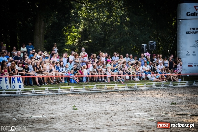 Zdjęcie w galerii na portalu naszraciborz.pl: Plejada gwiazd zjechała do Zakrzowa na XX Jeździeckie Mistrzostwa Gwiazd - Art Cup wiadomości z regionu