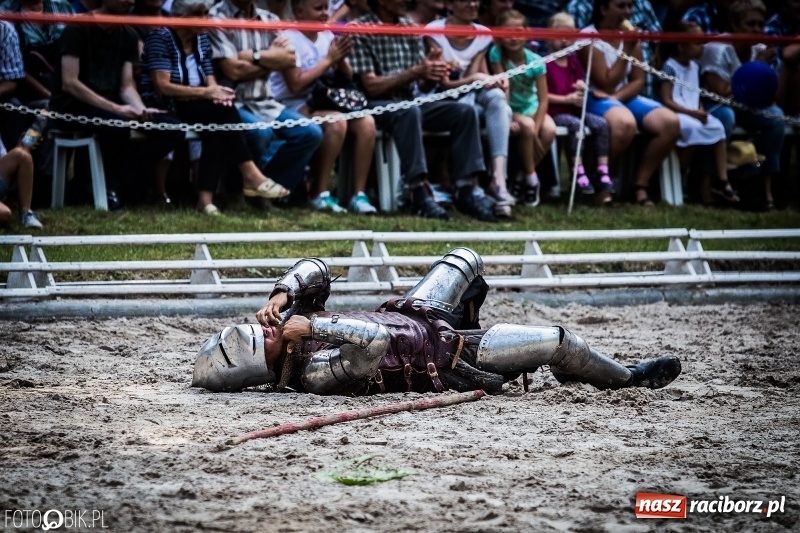 Zdjęcie w galerii na portalu naszraciborz.pl: Plejada gwiazd zjechała do Zakrzowa na XX Jeździeckie Mistrzostwa Gwiazd - Art Cup wiadomości z regionu