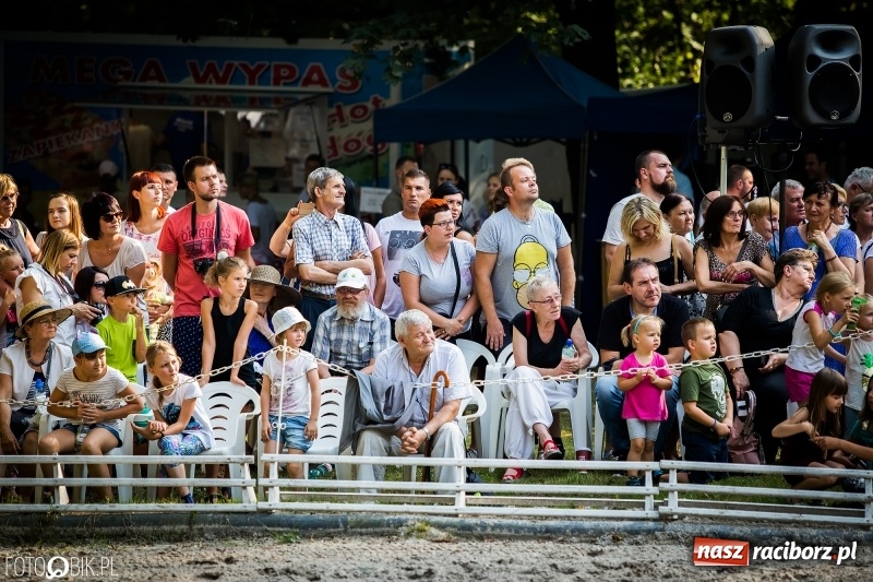 Zdjęcie w galerii na portalu naszraciborz.pl: Plejada gwiazd zjechała do Zakrzowa na XX Jeździeckie Mistrzostwa Gwiazd - Art Cup wiadomości z regionu