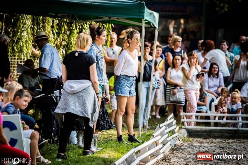 Zdjęcie w galerii na portalu naszraciborz.pl: Plejada gwiazd zjechała do Zakrzowa na XX Jeździeckie Mistrzostwa Gwiazd - Art Cup wiadomości z regionu