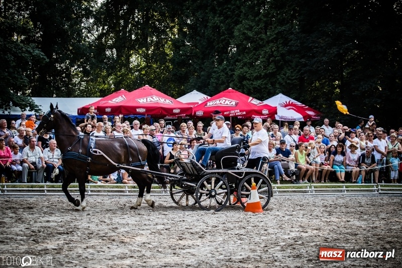Zdjęcie w galerii na portalu naszraciborz.pl: Plejada gwiazd zjechała do Zakrzowa na XX Jeździeckie Mistrzostwa Gwiazd - Art Cup wiadomości z regionu