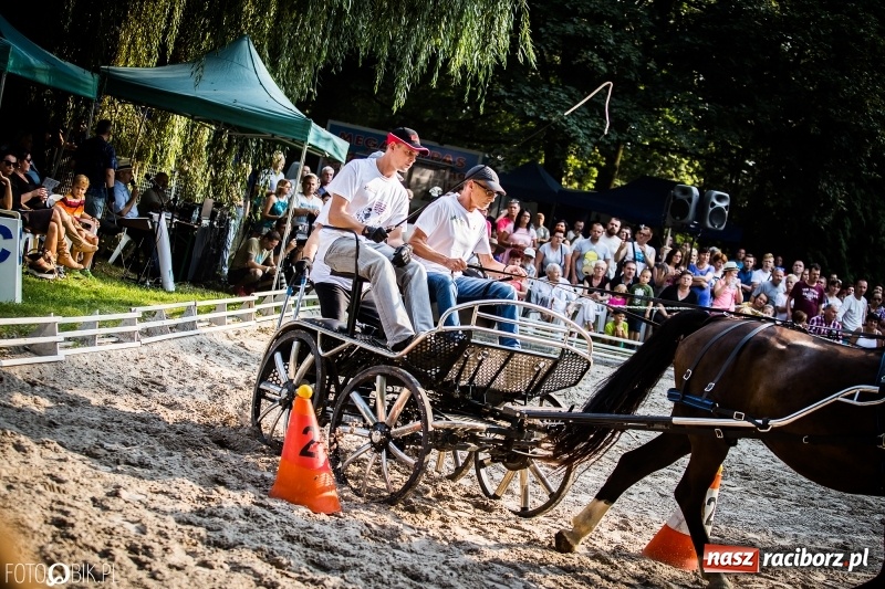 Zdjęcie w galerii na portalu naszraciborz.pl: Plejada gwiazd zjechała do Zakrzowa na XX Jeździeckie Mistrzostwa Gwiazd - Art Cup wiadomości z regionu