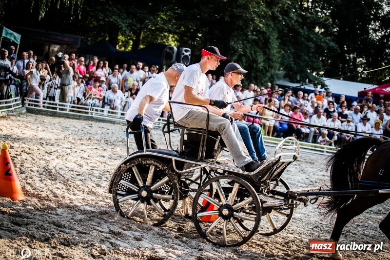Zdjęcie w galerii na portalu naszraciborz.pl: Plejada gwiazd zjechała do Zakrzowa na XX Jeździeckie Mistrzostwa Gwiazd - Art Cup wiadomości z regionu