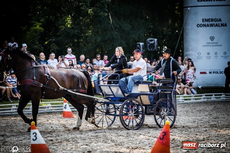 Zdjęcie w galerii na portalu naszraciborz.pl: Plejada gwiazd zjechała do Zakrzowa na XX Jeździeckie Mistrzostwa Gwiazd - Art Cup wiadomości z regionu