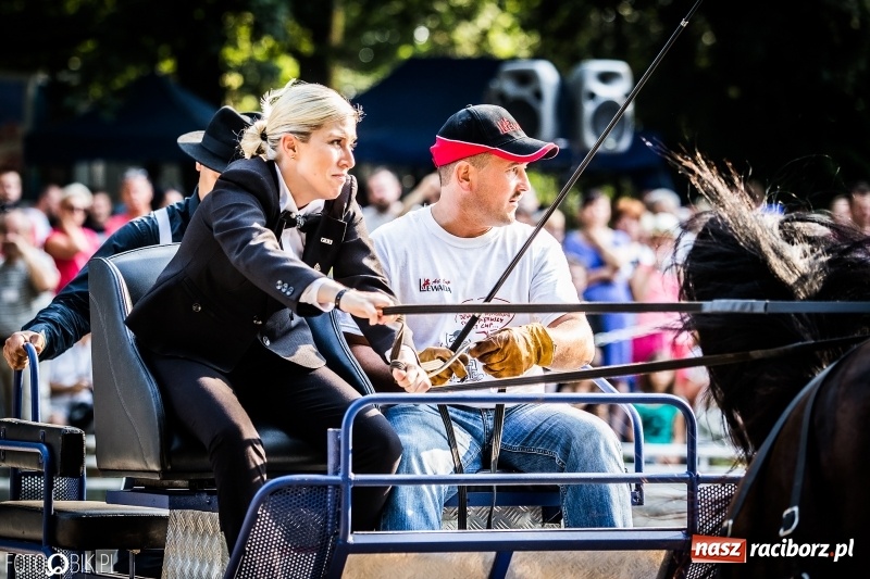Zdjęcie w galerii na portalu naszraciborz.pl: Plejada gwiazd zjechała do Zakrzowa na XX Jeździeckie Mistrzostwa Gwiazd - Art Cup wiadomości z regionu