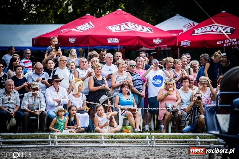 Zdjęcie w galerii na portalu naszraciborz.pl: Plejada gwiazd zjechała do Zakrzowa na XX Jeździeckie Mistrzostwa Gwiazd - Art Cup wiadomości z regionu