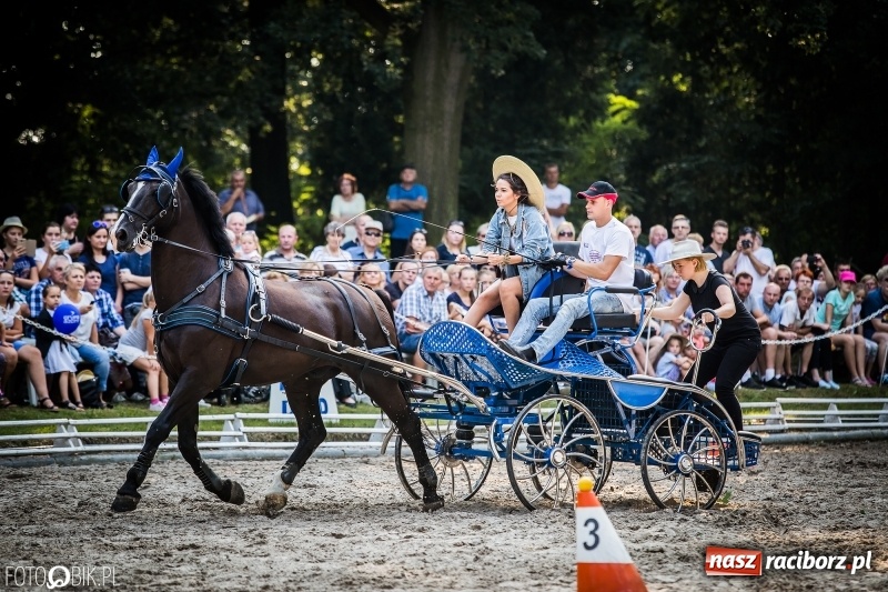 Zdjęcie w galerii na portalu naszraciborz.pl: Plejada gwiazd zjechała do Zakrzowa na XX Jeździeckie Mistrzostwa Gwiazd - Art Cup wiadomości z regionu