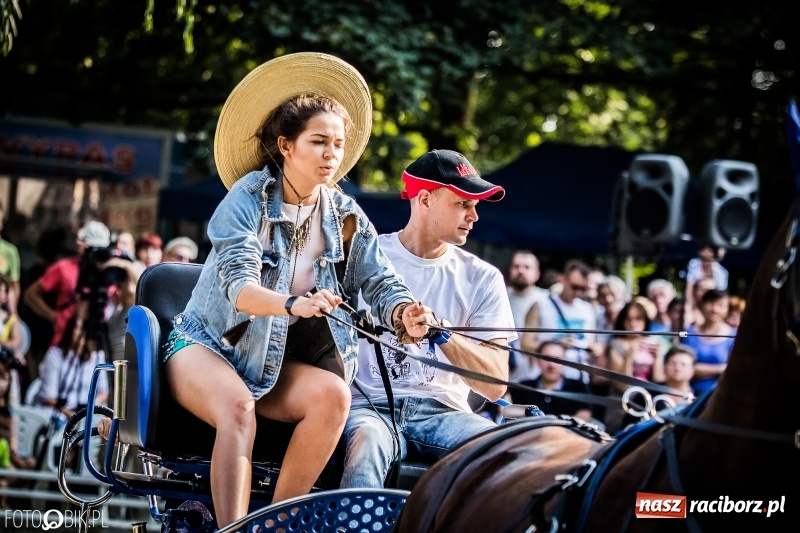 Zdjęcie w galerii na portalu naszraciborz.pl: Plejada gwiazd zjechała do Zakrzowa na XX Jeździeckie Mistrzostwa Gwiazd - Art Cup wiadomości z regionu