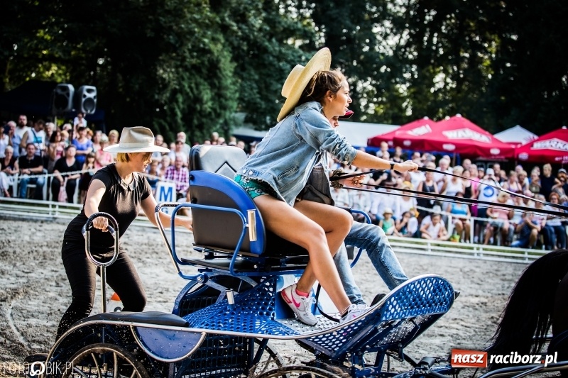 Zdjęcie w galerii na portalu naszraciborz.pl: Plejada gwiazd zjechała do Zakrzowa na XX Jeździeckie Mistrzostwa Gwiazd - Art Cup wiadomości z regionu