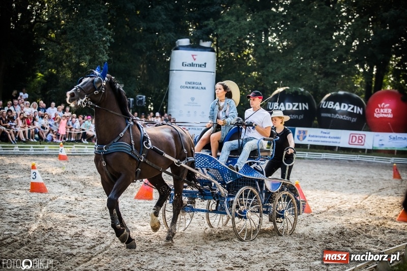 Zdjęcie w galerii na portalu naszraciborz.pl: Plejada gwiazd zjechała do Zakrzowa na XX Jeździeckie Mistrzostwa Gwiazd - Art Cup wiadomości z regionu