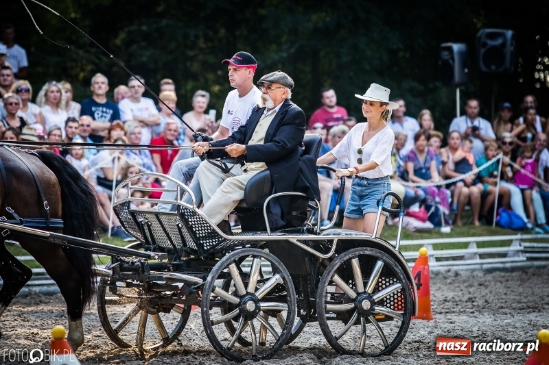 Zdjęcie w galerii na portalu naszraciborz.pl: Plejada gwiazd zjechała do Zakrzowa na XX Jeździeckie Mistrzostwa Gwiazd - Art Cup wiadomości z regionu