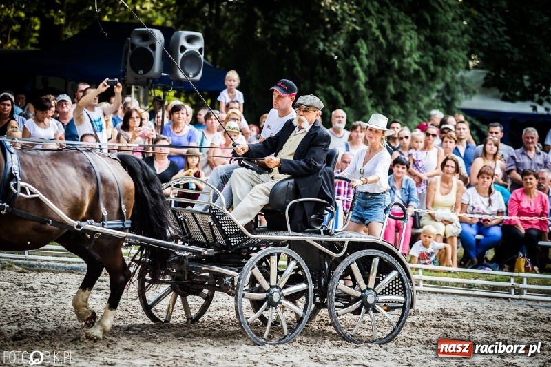 Zdjęcie w galerii na portalu naszraciborz.pl: Plejada gwiazd zjechała do Zakrzowa na XX Jeździeckie Mistrzostwa Gwiazd - Art Cup wiadomości z regionu