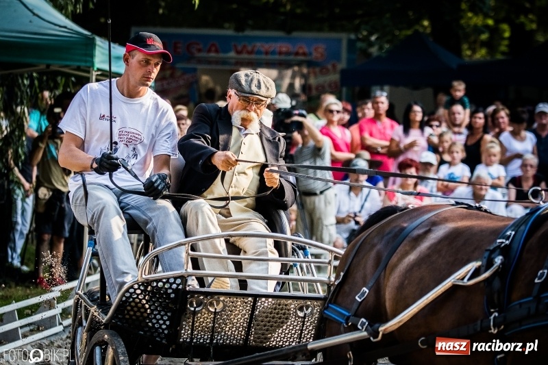 Zdjęcie w galerii na portalu naszraciborz.pl: Plejada gwiazd zjechała do Zakrzowa na XX Jeździeckie Mistrzostwa Gwiazd - Art Cup wiadomości z regionu