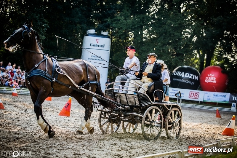 Zdjęcie w galerii na portalu naszraciborz.pl: Plejada gwiazd zjechała do Zakrzowa na XX Jeździeckie Mistrzostwa Gwiazd - Art Cup wiadomości z regionu