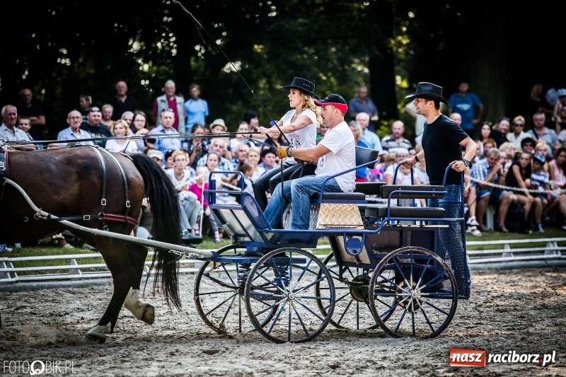 Zdjęcie w galerii na portalu naszraciborz.pl: Plejada gwiazd zjechała do Zakrzowa na XX Jeździeckie Mistrzostwa Gwiazd - Art Cup wiadomości z regionu