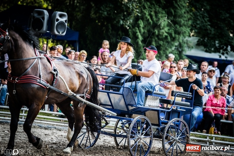 Zdjęcie w galerii na portalu naszraciborz.pl: Plejada gwiazd zjechała do Zakrzowa na XX Jeździeckie Mistrzostwa Gwiazd - Art Cup wiadomości z regionu