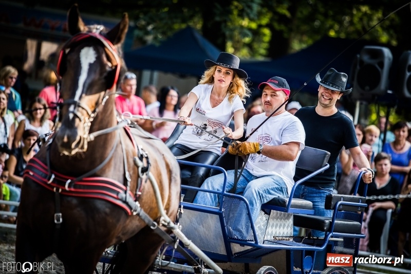 Zdjęcie w galerii na portalu naszraciborz.pl: Plejada gwiazd zjechała do Zakrzowa na XX Jeździeckie Mistrzostwa Gwiazd - Art Cup wiadomości z regionu