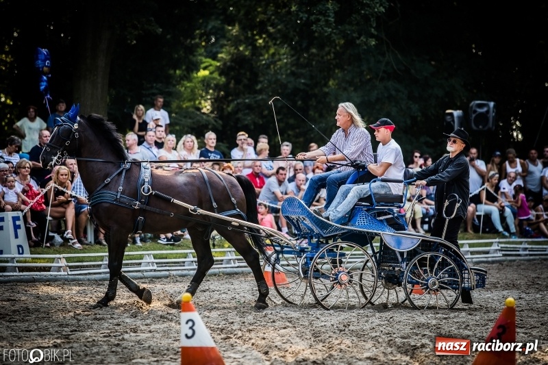 Zdjęcie w galerii na portalu naszraciborz.pl: Plejada gwiazd zjechała do Zakrzowa na XX Jeździeckie Mistrzostwa Gwiazd - Art Cup wiadomości z regionu