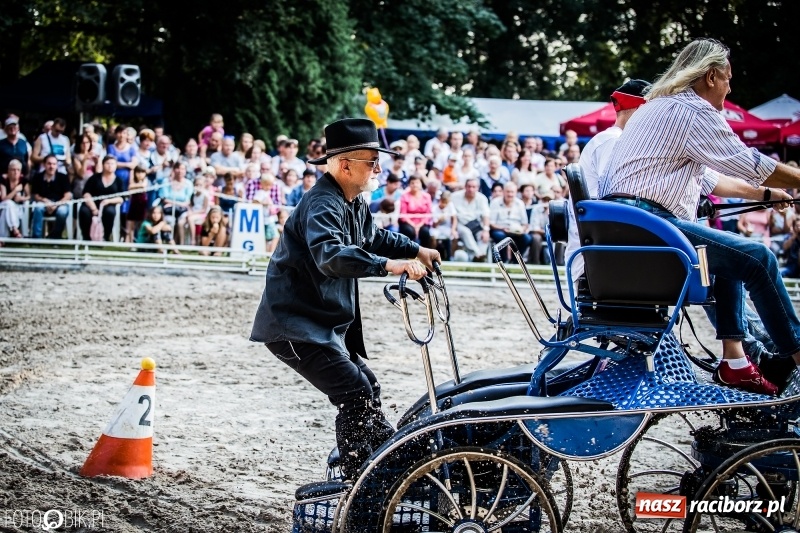 Zdjęcie w galerii na portalu naszraciborz.pl: Plejada gwiazd zjechała do Zakrzowa na XX Jeździeckie Mistrzostwa Gwiazd - Art Cup wiadomości z regionu