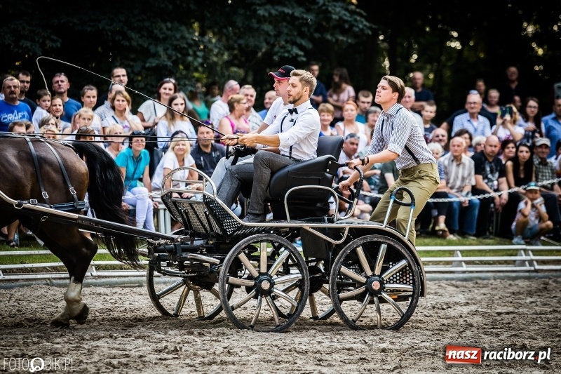 Zdjęcie w galerii na portalu naszraciborz.pl: Plejada gwiazd zjechała do Zakrzowa na XX Jeździeckie Mistrzostwa Gwiazd - Art Cup wiadomości z regionu