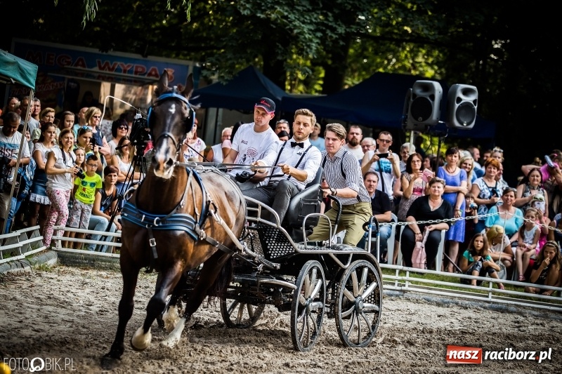Zdjęcie w galerii na portalu naszraciborz.pl: Plejada gwiazd zjechała do Zakrzowa na XX Jeździeckie Mistrzostwa Gwiazd - Art Cup wiadomości z regionu