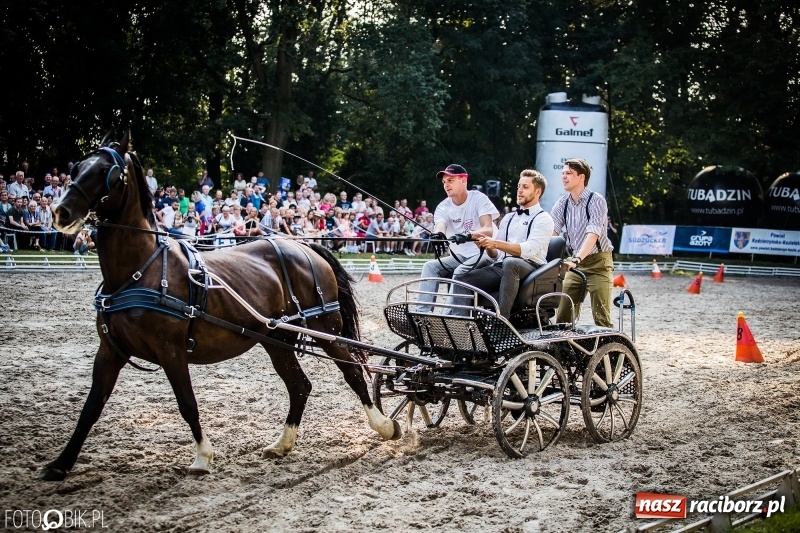 Zdjęcie w galerii na portalu naszraciborz.pl: Plejada gwiazd zjechała do Zakrzowa na XX Jeździeckie Mistrzostwa Gwiazd - Art Cup wiadomości z regionu