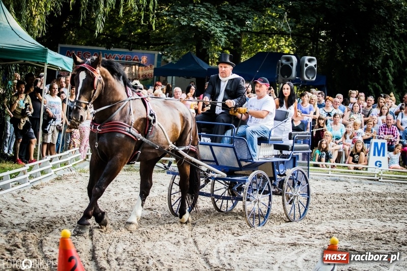 Zdjęcie w galerii na portalu naszraciborz.pl: Plejada gwiazd zjechała do Zakrzowa na XX Jeździeckie Mistrzostwa Gwiazd - Art Cup wiadomości z regionu