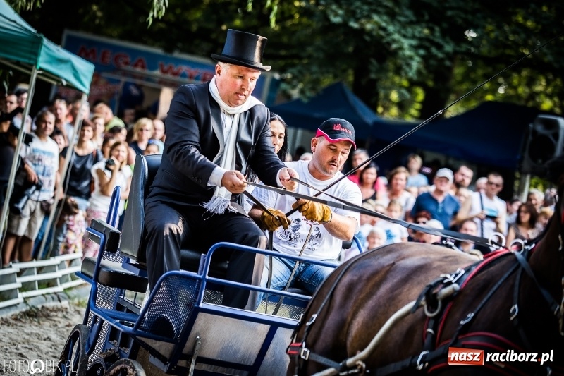 Zdjęcie w galerii na portalu naszraciborz.pl: Plejada gwiazd zjechała do Zakrzowa na XX Jeździeckie Mistrzostwa Gwiazd - Art Cup wiadomości z regionu