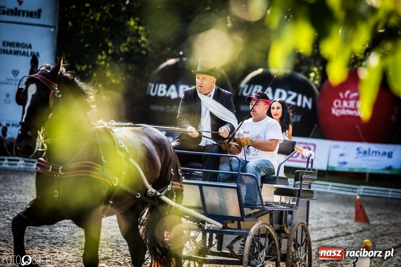 Zdjęcie w galerii na portalu naszraciborz.pl: Plejada gwiazd zjechała do Zakrzowa na XX Jeździeckie Mistrzostwa Gwiazd - Art Cup wiadomości z regionu
