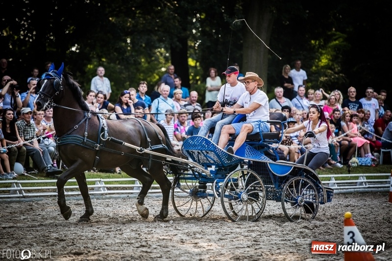 Zdjęcie w galerii na portalu naszraciborz.pl: Plejada gwiazd zjechała do Zakrzowa na XX Jeździeckie Mistrzostwa Gwiazd - Art Cup wiadomości z regionu