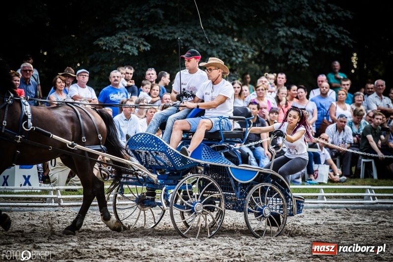 Zdjęcie w galerii na portalu naszraciborz.pl: Plejada gwiazd zjechała do Zakrzowa na XX Jeździeckie Mistrzostwa Gwiazd - Art Cup wiadomości z regionu