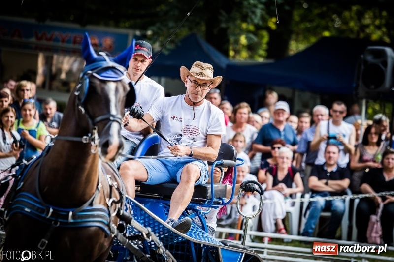 Zdjęcie w galerii na portalu naszraciborz.pl: Plejada gwiazd zjechała do Zakrzowa na XX Jeździeckie Mistrzostwa Gwiazd - Art Cup wiadomości z regionu