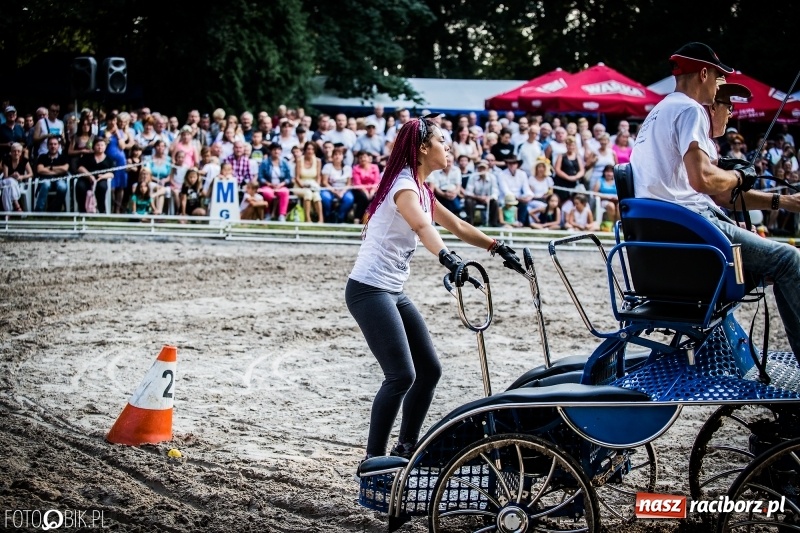 Zdjęcie w galerii na portalu naszraciborz.pl: Plejada gwiazd zjechała do Zakrzowa na XX Jeździeckie Mistrzostwa Gwiazd - Art Cup wiadomości z regionu