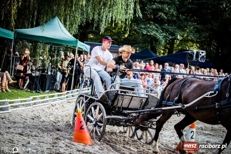 Zdjęcie w galerii na portalu naszraciborz.pl: Plejada gwiazd zjechała do Zakrzowa na XX Jeździeckie Mistrzostwa Gwiazd - Art Cup wiadomości z regionu