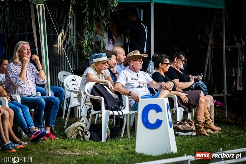 Zdjęcie w galerii na portalu naszraciborz.pl: Plejada gwiazd zjechała do Zakrzowa na XX Jeździeckie Mistrzostwa Gwiazd - Art Cup wiadomości z regionu
