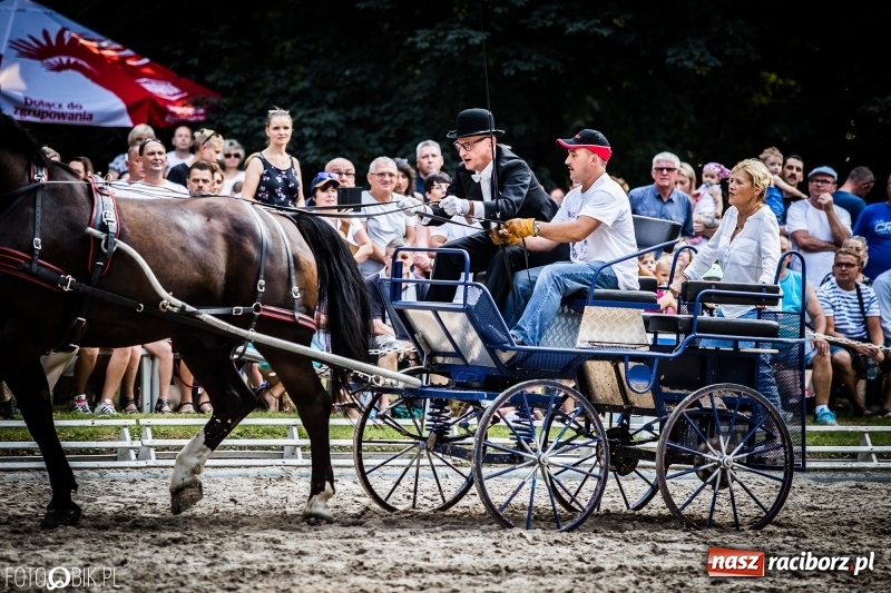 Zdjęcie w galerii na portalu naszraciborz.pl: Plejada gwiazd zjechała do Zakrzowa na XX Jeździeckie Mistrzostwa Gwiazd - Art Cup wiadomości z regionu