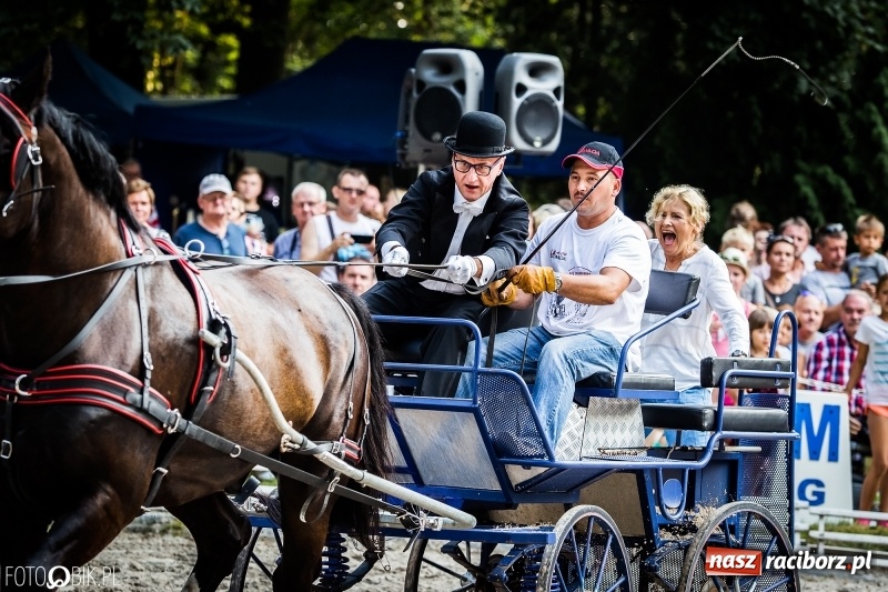 Zdjęcie w galerii na portalu naszraciborz.pl: Plejada gwiazd zjechała do Zakrzowa na XX Jeździeckie Mistrzostwa Gwiazd - Art Cup wiadomości z regionu