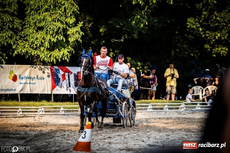 Zdjęcie w galerii na portalu naszraciborz.pl: Plejada gwiazd zjechała do Zakrzowa na XX Jeździeckie Mistrzostwa Gwiazd - Art Cup wiadomości z regionu