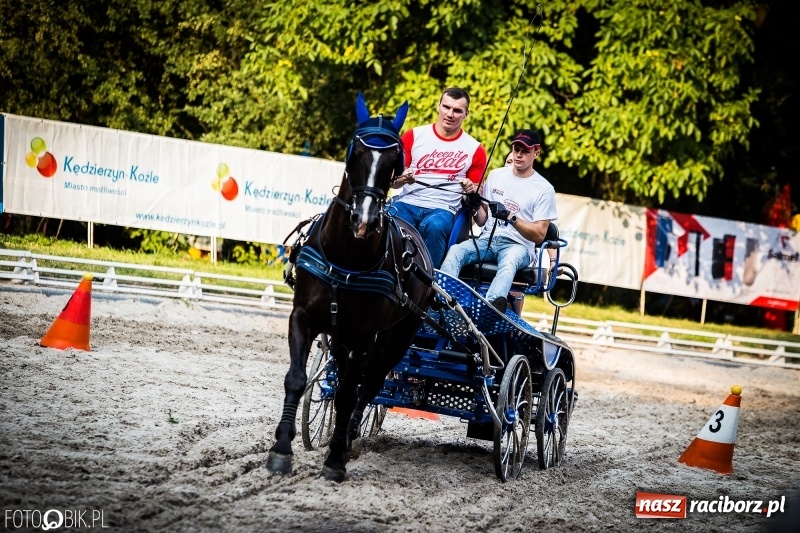 Zdjęcie w galerii na portalu naszraciborz.pl: Plejada gwiazd zjechała do Zakrzowa na XX Jeździeckie Mistrzostwa Gwiazd - Art Cup wiadomości z regionu