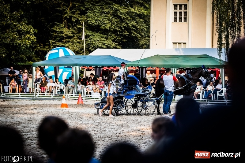 Zdjęcie w galerii na portalu naszraciborz.pl: Plejada gwiazd zjechała do Zakrzowa na XX Jeździeckie Mistrzostwa Gwiazd - Art Cup wiadomości z regionu