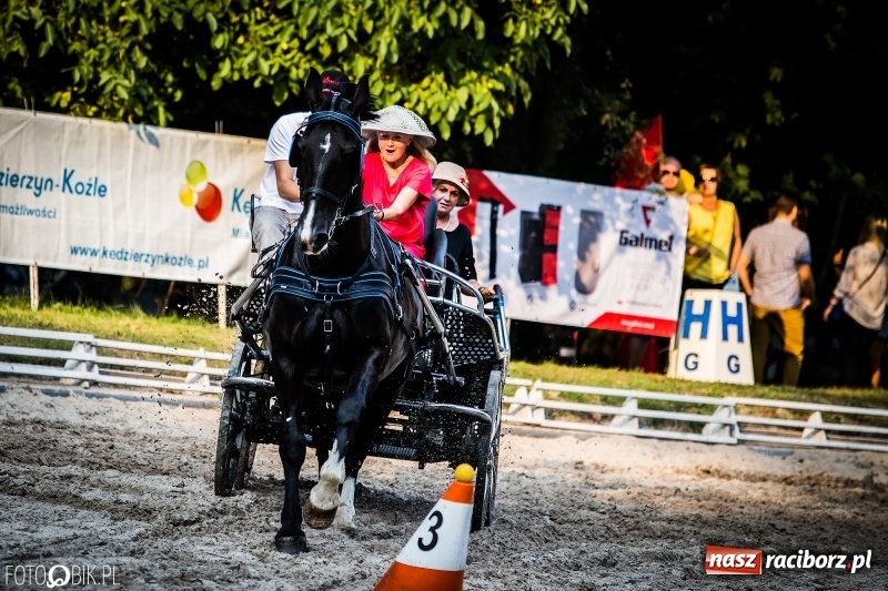 Zdjęcie w galerii na portalu naszraciborz.pl: Plejada gwiazd zjechała do Zakrzowa na XX Jeździeckie Mistrzostwa Gwiazd - Art Cup wiadomości z regionu