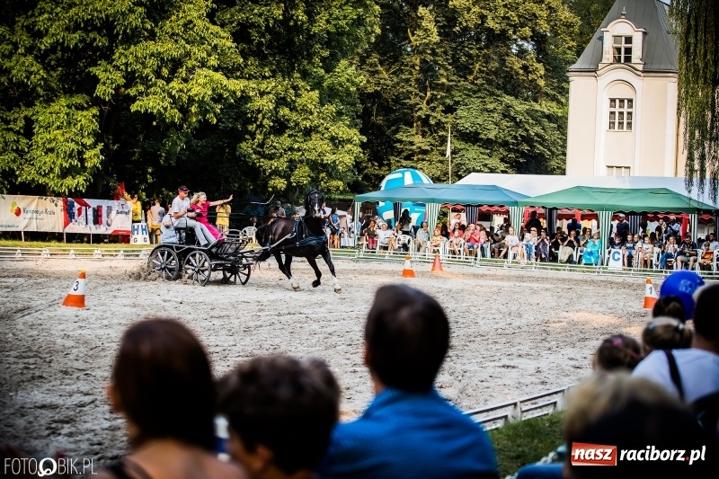 Zdjęcie w galerii na portalu naszraciborz.pl: Plejada gwiazd zjechała do Zakrzowa na XX Jeździeckie Mistrzostwa Gwiazd - Art Cup wiadomości z regionu