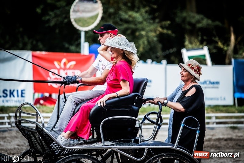 Zdjęcie w galerii na portalu naszraciborz.pl: Plejada gwiazd zjechała do Zakrzowa na XX Jeździeckie Mistrzostwa Gwiazd - Art Cup wiadomości z regionu