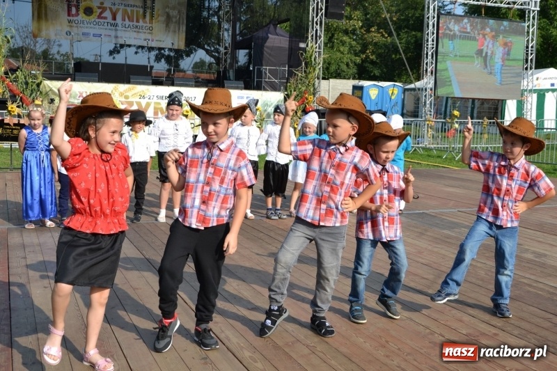Zdjęcie w galerii na portalu naszraciborz.pl: Dożynki wojewódzkie w Tworkowie - w sobotę rozpoczęła się zabawa  wiadomości z regionu