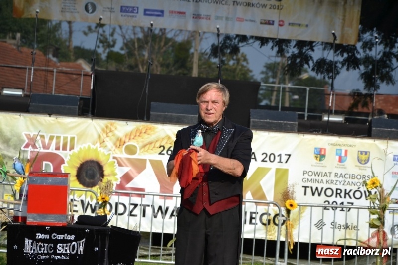 Zdjęcie w galerii na portalu naszraciborz.pl: Dożynki wojewódzkie w Tworkowie - w sobotę rozpoczęła się zabawa  wiadomości z regionu