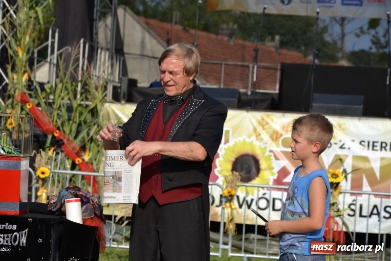 Zdjęcie w galerii na portalu naszraciborz.pl: Dożynki wojewódzkie w Tworkowie - w sobotę rozpoczęła się zabawa  wiadomości z regionu