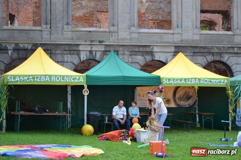 Zdjęcie w galerii na portalu naszraciborz.pl: Dożynki wojewódzkie w Tworkowie - w sobotę rozpoczęła się zabawa  wiadomości z regionu