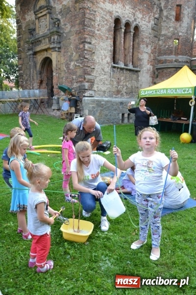 Zdjęcie w galerii na portalu naszraciborz.pl: Dożynki wojewódzkie w Tworkowie - w sobotę rozpoczęła się zabawa  wiadomości z regionu