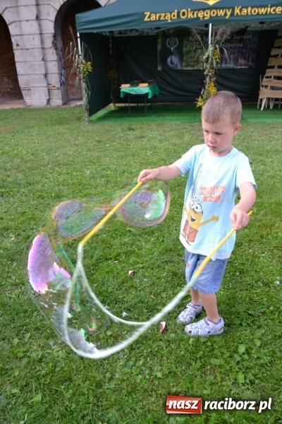 Zdjęcie w galerii na portalu naszraciborz.pl: Dożynki wojewódzkie w Tworkowie - w sobotę rozpoczęła się zabawa  wiadomości z regionu